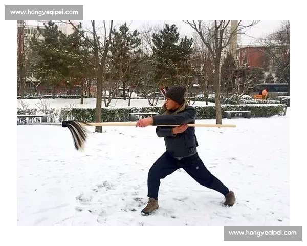 钟老师武术课堂：大树从体弱少年到功夫达人的蜕变